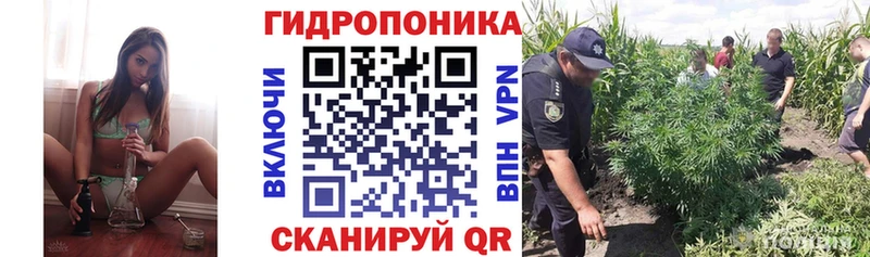наркотики  Приморско-Ахтарск  Бошки Шишки конопля 